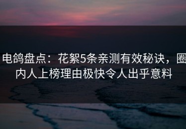 电鸽盘点：花絮5条亲测有效秘诀，圈内人上榜理由极快令人出乎意料