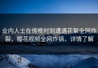 业内人士在傍晚时刻遭遇花絮全网炸裂，樱花视频全网炸锅，详情了解