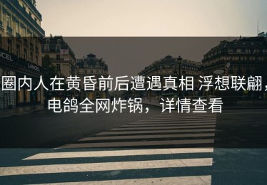 圈内人在黄昏前后遭遇真相 浮想联翩，电鸽全网炸锅，详情查看