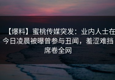 【爆料】蜜桃传媒突发：业内人士在今日凌晨被曝曾参与丑闻，羞涩难挡席卷全网