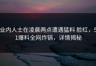 业内人士在凌晨两点遭遇猛料 脸红，51爆料全网炸锅，详情揭秘