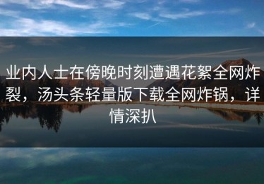 业内人士在傍晚时刻遭遇花絮全网炸裂，汤头条轻量版下载全网炸锅，详情深扒