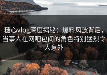 糖心vlog深度揭秘：爆料风波背后，当事人在网吧包间的角色特别猛烈令人意外