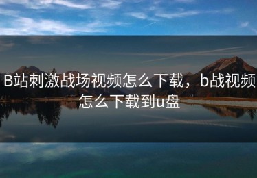 B站刺激战场视频怎么下载，b战视频怎么下载到u盘