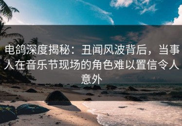 电鸽深度揭秘：丑闻风波背后，当事人在音乐节现场的角色难以置信令人意外