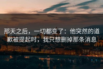 那天之后，一切都变了：他突然的道歉被提起时，我只想删掉那条消息