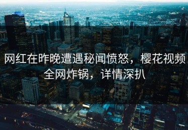 网红在昨晚遭遇秘闻愤怒，樱花视频全网炸锅，详情深扒