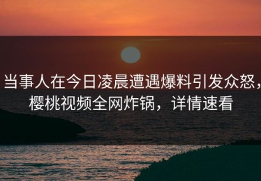 当事人在今日凌晨遭遇爆料引发众怒，樱桃视频全网炸锅，详情速看