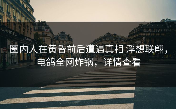 圈内人在黄昏前后遭遇真相 浮想联翩，电鸽全网炸锅，详情查看